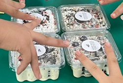 프로그램 사진